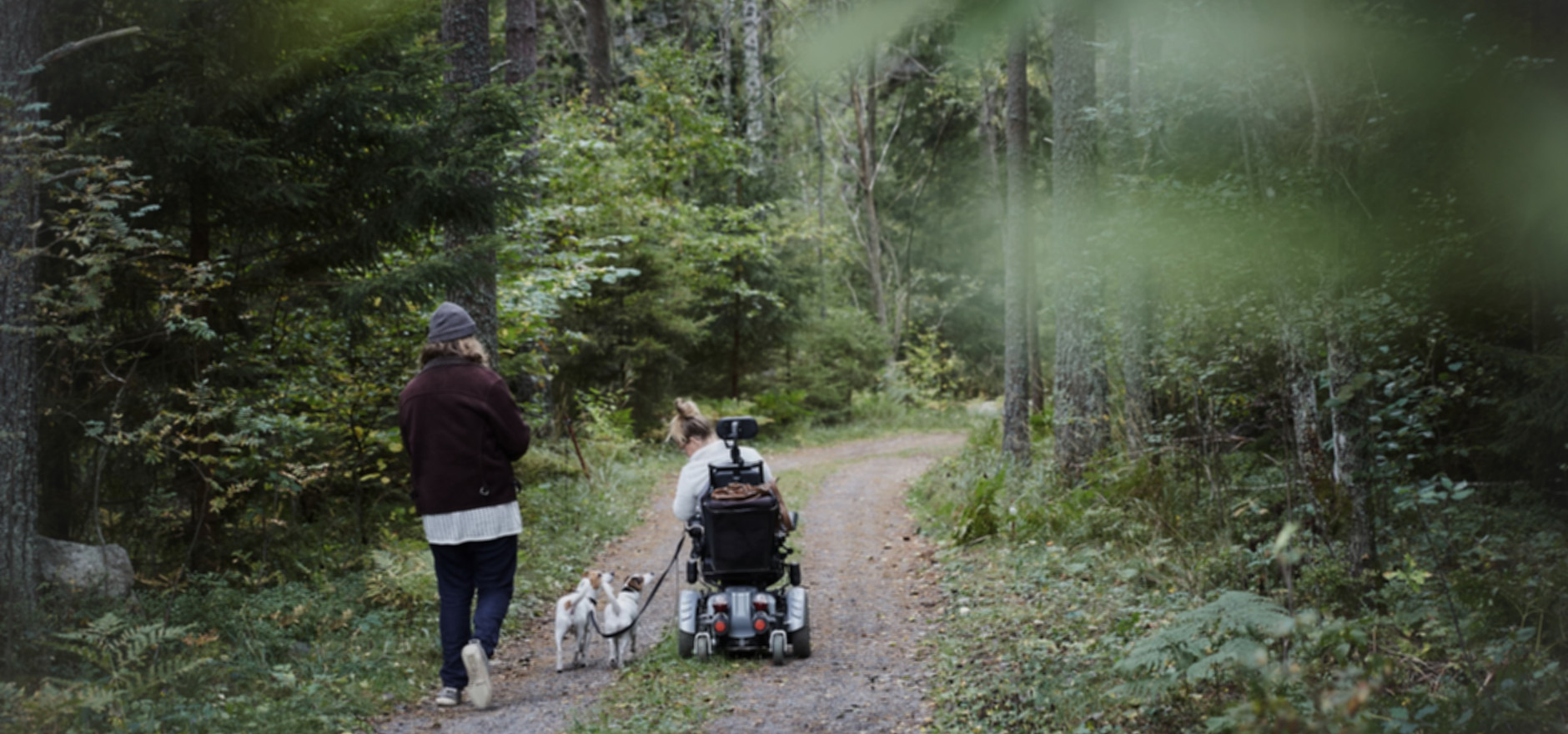 People enjoying time outdoors in a wooded setting